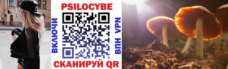 omg онион  Белово  Псилоцибиновые грибы Magic Shrooms 